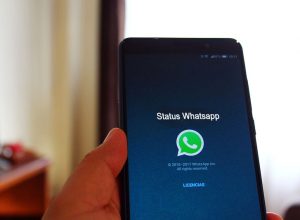 Status Whatsapp Teman Tidak Muncul