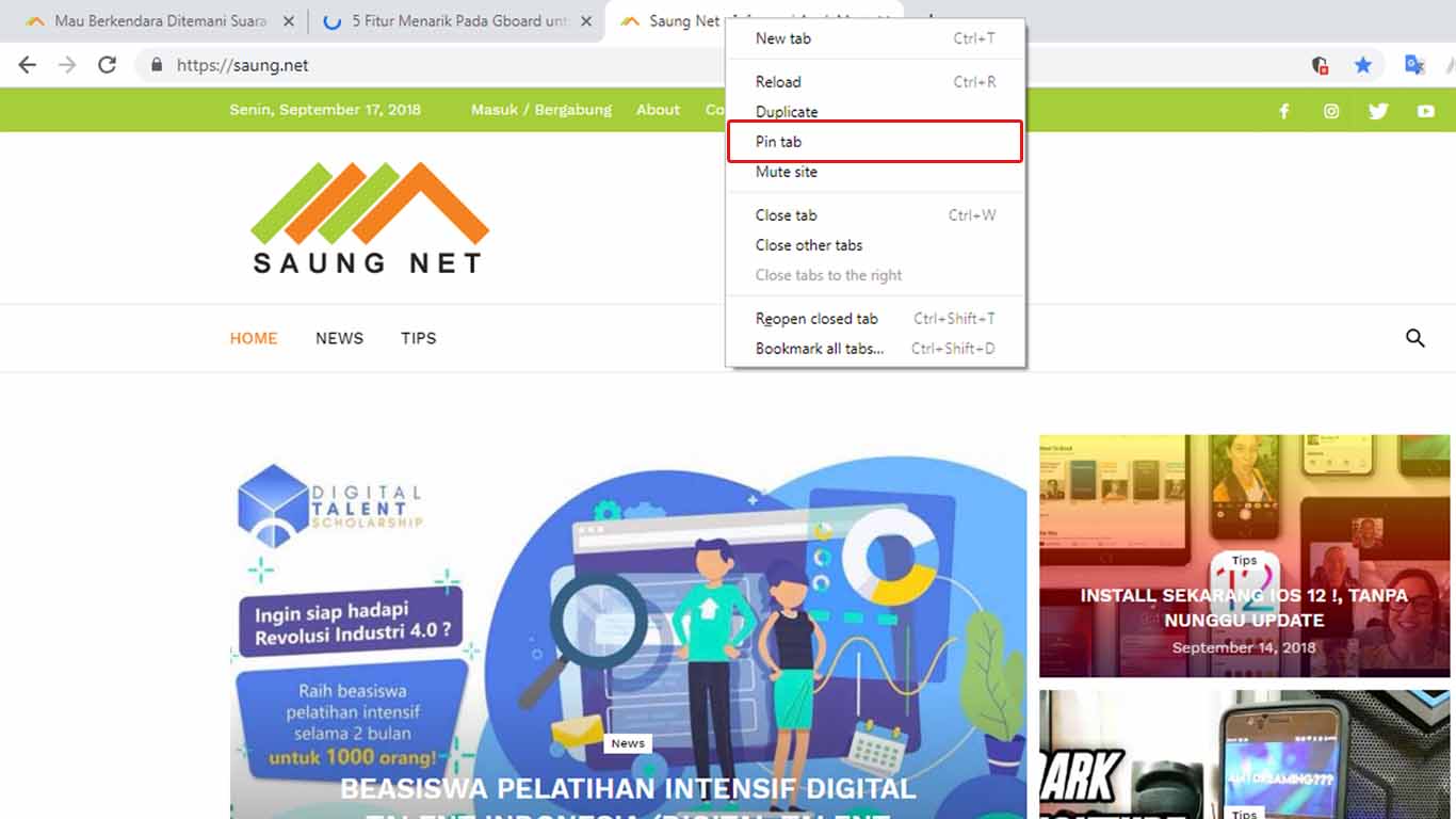 Menu Pinned Tab Halaman Baru pada Google Chrome Baru