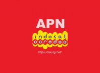 access point name indosat