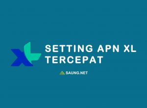 setting apn xl