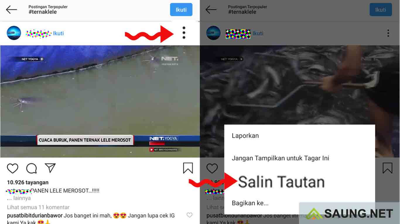 cara download video di instagram tanpa apk